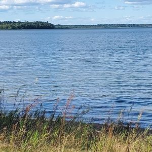 Meet your Posher, Ben